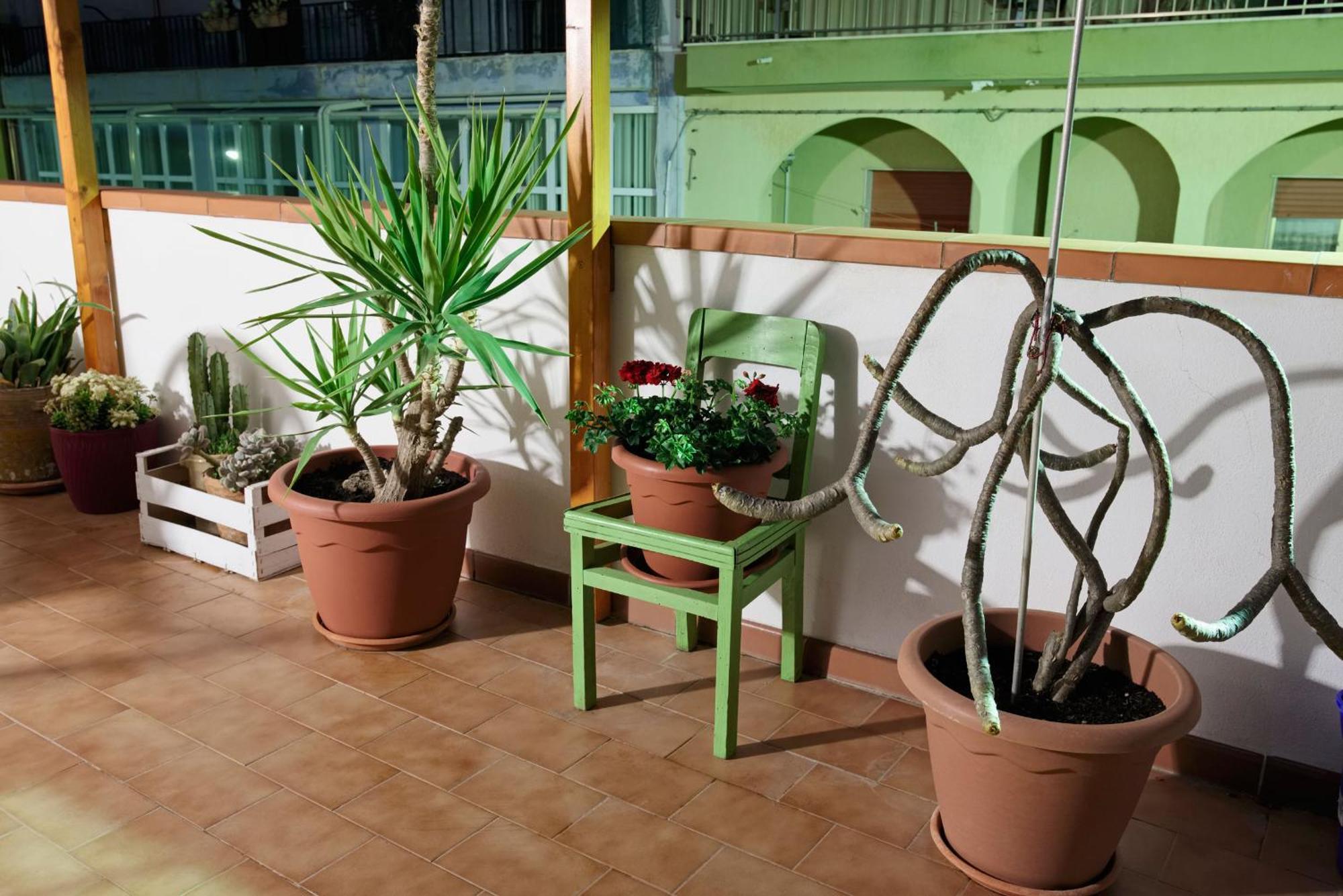 Ferienwohnung Le Terrazze di Angela Marina di Ragusa Exterior foto